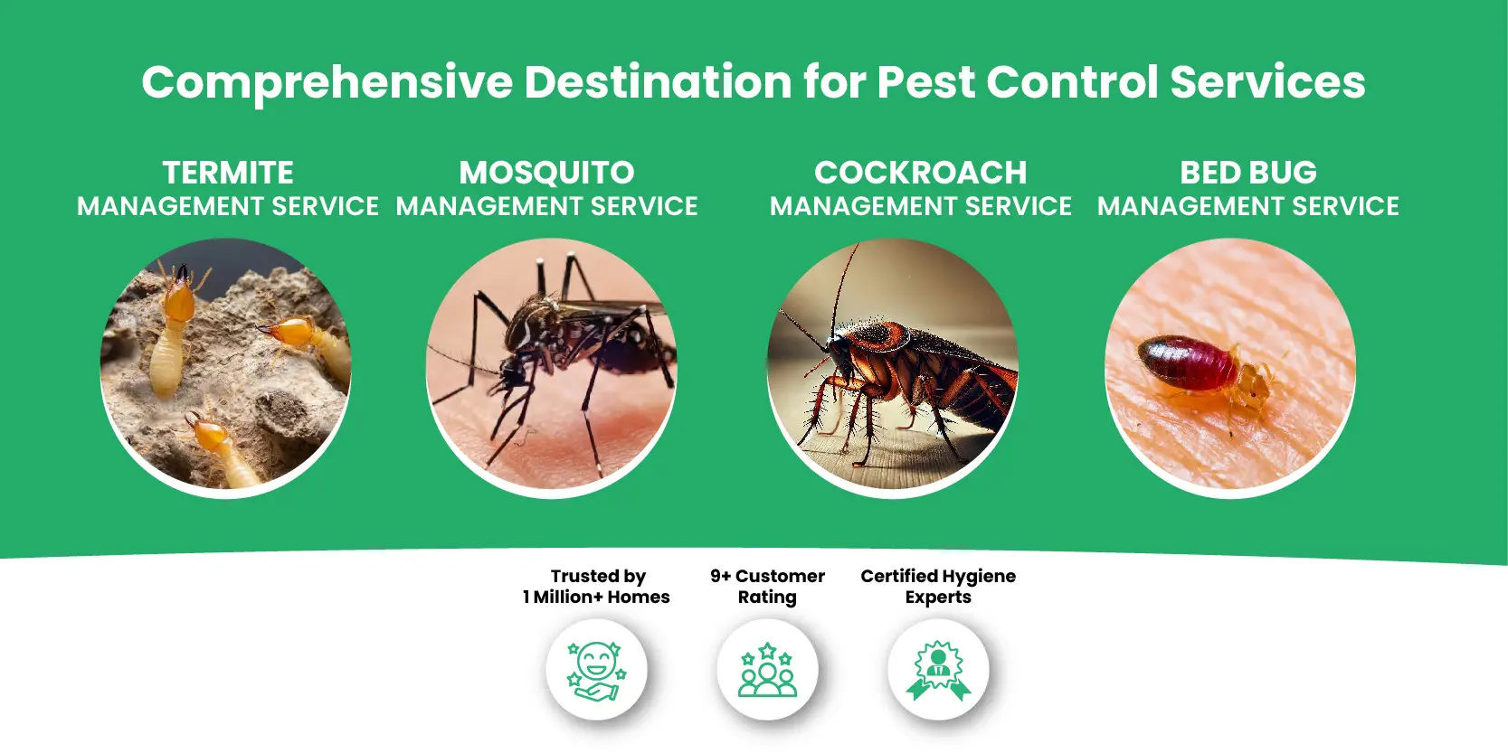Pest_Control_Mobile_version_revised