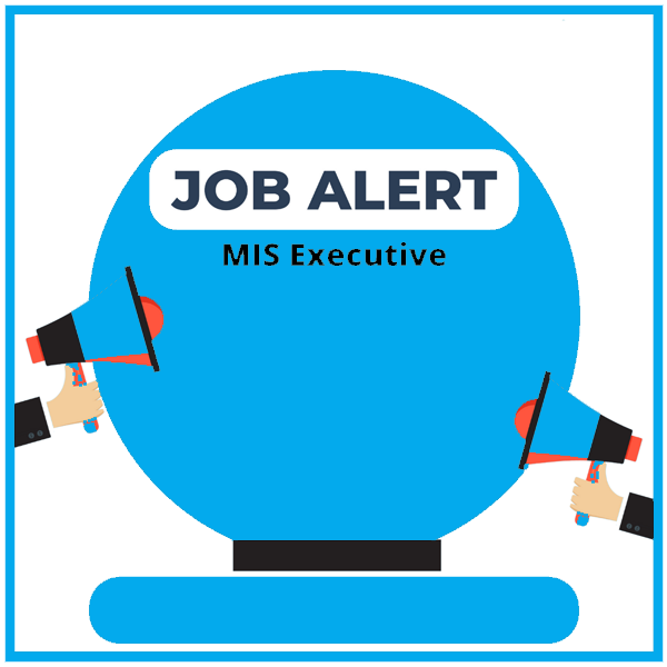 MIS Executive