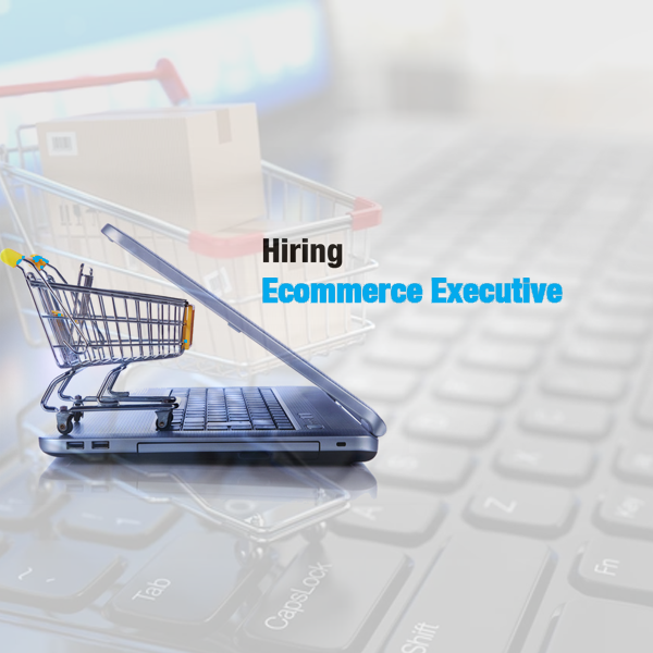 E Commerce Executive/ Manager