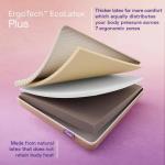 Wakefit-ErgoTech EcoLatex Plus Mattress