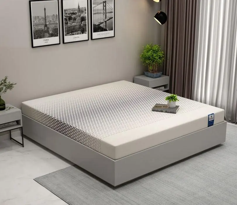WoodenStreet-Penguin DreamLux High Density HR Foam Mattress